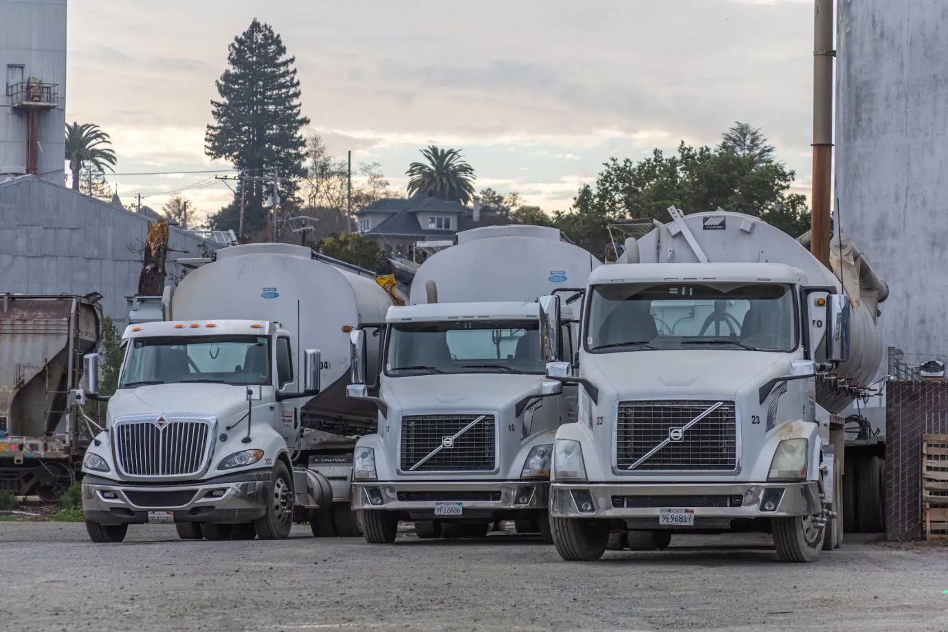 Three white dumper trucks parked on the ground