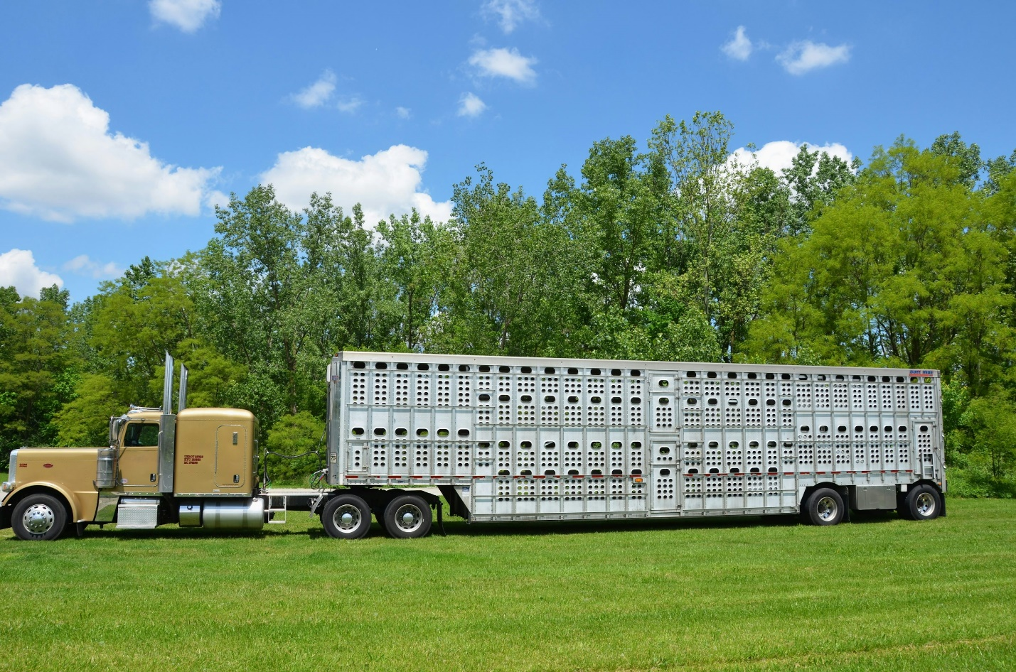 A large commercial vehicle for CDL testing.